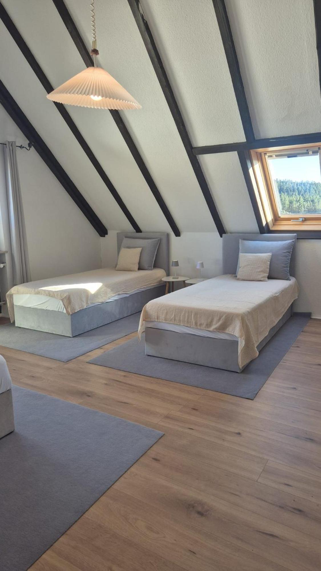 Chalet Schluchsee Ferienwohnung Extérieur photo